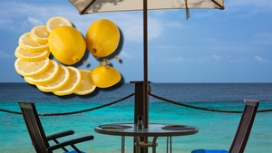 Suma ireală plătită de un turist pentru o felie de lămâie, într-un restaurant din Costinești: „Se întreabă lumea de ce pleacă în alte țări în sezonul estival”
