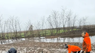 „Iadul de la Nuci”, locul unde zeci de animale subnutrite au fost găsite în pragul morții. „Cazul ne-a amuțit”