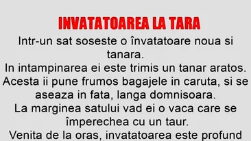 BANCUL ZILEI | Învățătoarea la țară