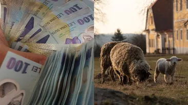 Cât va costa carnea de miel în 2026. Alimentul se scumpește înainte de Paște