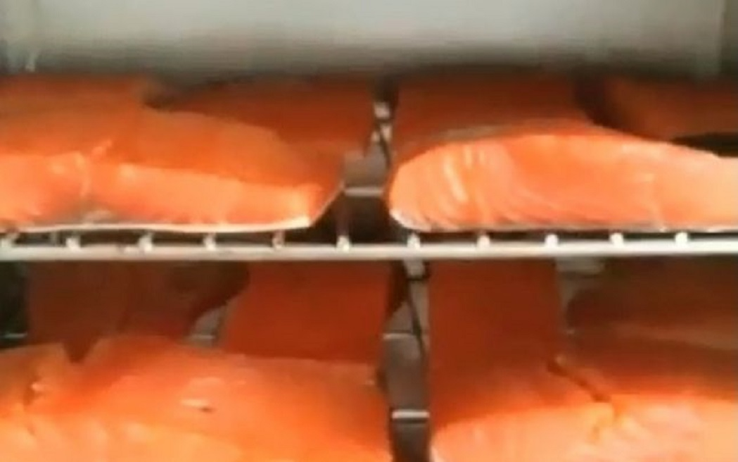 Afumarea peştelui se face la rece