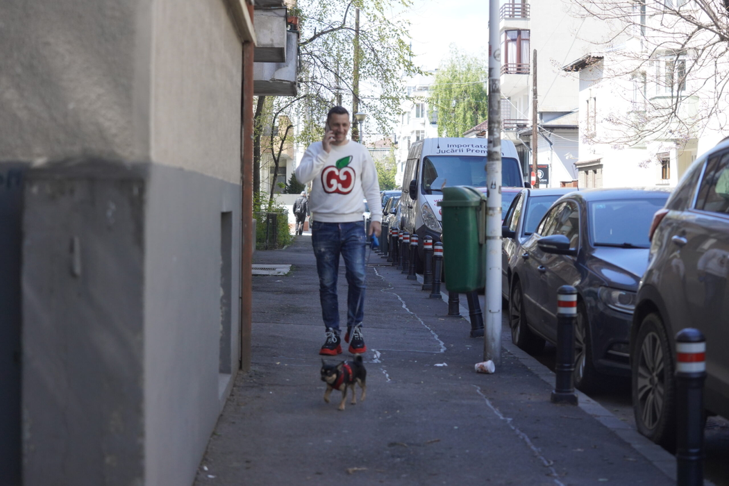 Flick, plimbare "profesionistă" cu câinele soției (Foto: CANCAN.RO)