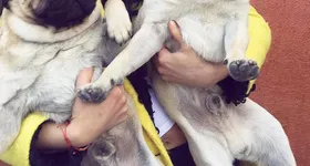 Galerie foto - poza 1