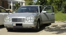 Galerie foto - poza 3