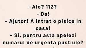 BANCUL ZILEI | "Ajutor! A intrat pisica în casă"