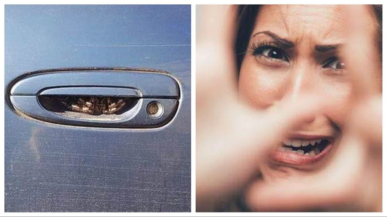 Era pe punctul de a deschide portiera când a observat ceva înfricoșător. O șoferiță a fost la un pas de leșin