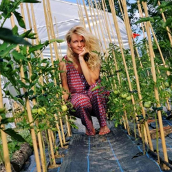 Imagine Galerie #3