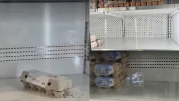 Criză de ouă în România! De ce nu se mai găsesc la raft: Presiunea din afară este din ce în ce mai mare