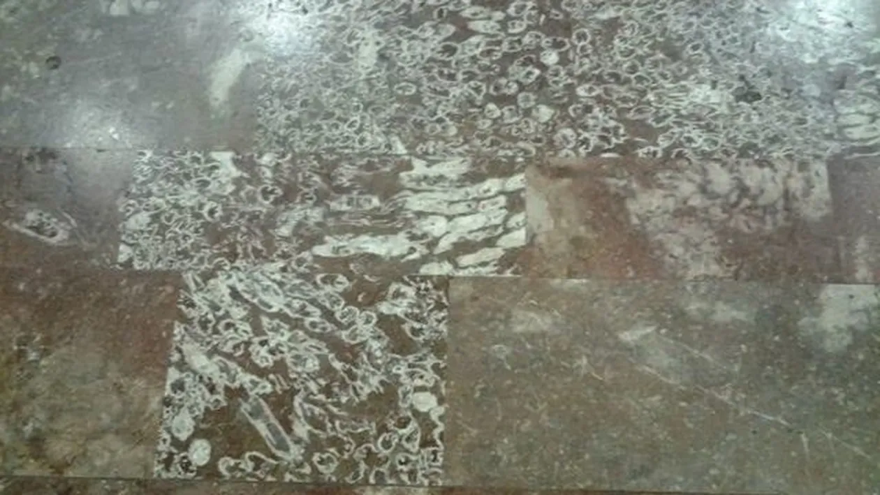 Secretul ULUITOR care se ascunde în staţia de metrou POLITEHNICA! Pe ce calcă fără să ştie mii de români în fiecare zi 