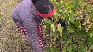 O recunoști?! O fostă vedetă de la Antena 1 a ajuns, acum, să trăiască din mila oamenilor