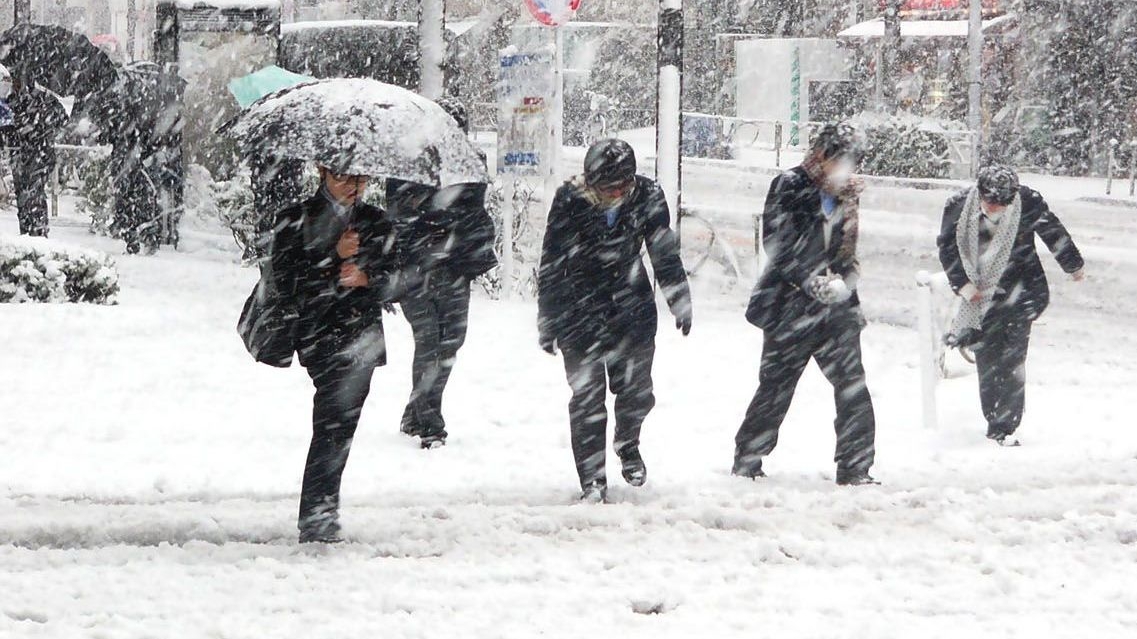PROGNOZA METEO. Ninsori, viscol şi ploi după temperaturi de 15 grade, inclusiv în Bucureşti