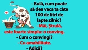 BANC | "Bulă, cum poate să dea vaca ta câte 100 de litri de lapte zilnic?"