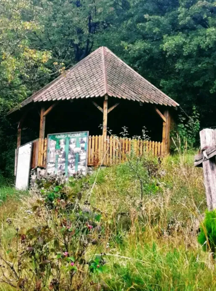 Cât costă casa părintească a lui Arsenie Boca? Are 8,5 hectare şi tocmai a fost scoasă la vânzare