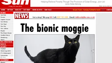 VEZI AICI cum arata pisica bionica! Motanul a primit proteze de ultima generatie pentru doua labute!