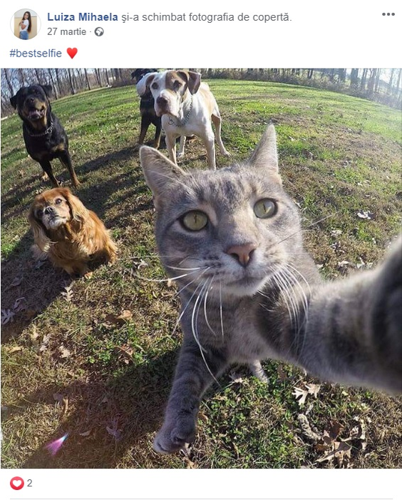 Sfâșietor! Ce a transmis Luiza Melencu pe Facebook cu ceva timp înainte să dispară pentru totdeauna și să fie măcelărită