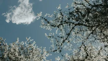 Prognoza meteo azi, 14 martie 2026. Vreme caldă în Banat și Oltenia: temperaturile ajung la 17 grade în vestul României