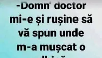 BANCUL ZILEI | Domn' doctor, mi-e și rușine să vă spun unde m-a mușcat o albină!