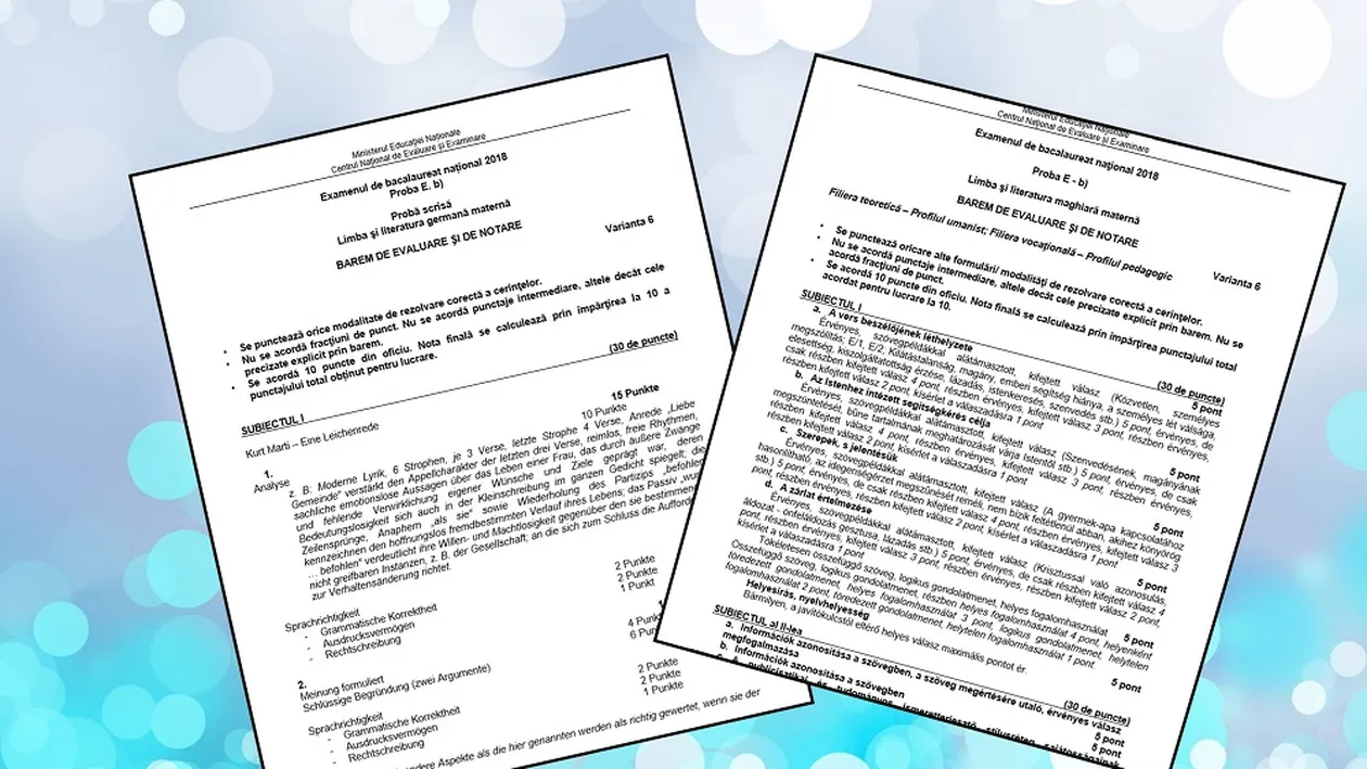 Bacalaureat 2018, sesiunea de toamnă. Subiecte si barem la limba materna