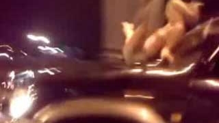 Trei blonde goale excita soferii in timp ce se dezbraca pe capota unui jeep aflat in mers!