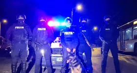 Galerie foto - poza 2