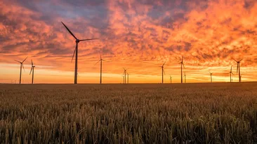 Oligarhul ucrainean care investește 90 de milioane de euro într-un sat din Iași. Iată la ce afacere profitabilă s-a gândit miliardarul