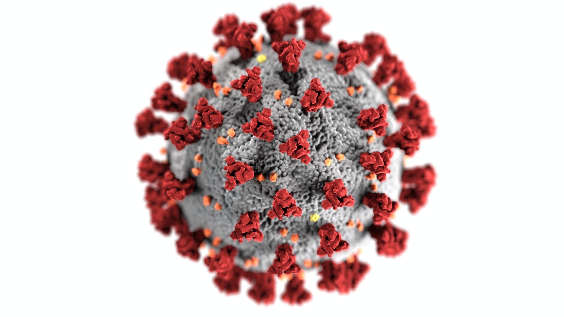 „A încerca să oprești Omicron este ca și când încerci să oprești vântul”. Declarația șocantă făcută de un epidemiolog
