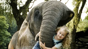 Traieste printre animalele salbatice