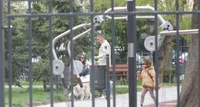 Galerie foto - poza 3