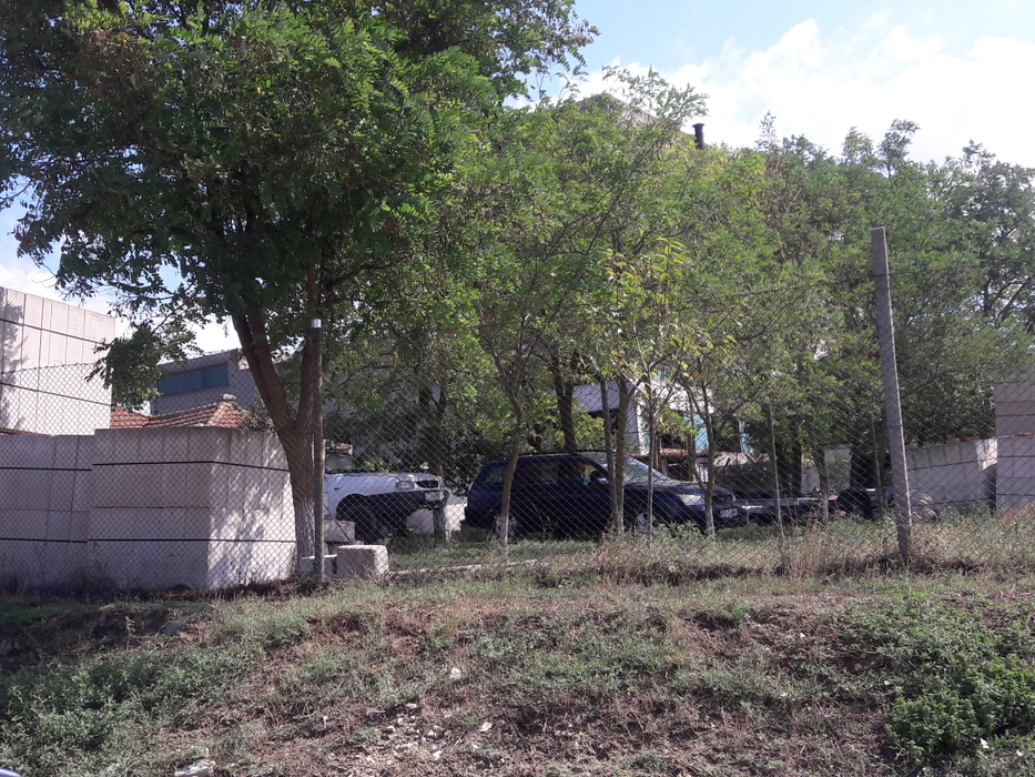 Din industria secretă cu metale scumpe a lui Ceaușescu, de la Vadu, nu a rămas mai nimic