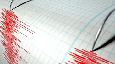 Cutremur puternic, cu magnitudinea 8, în Mexic!