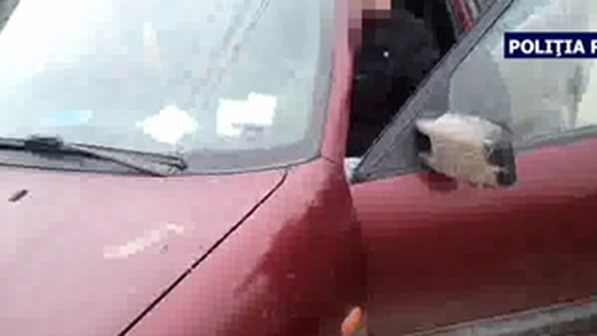 Metoda ingenioasa folosita de un traficant de tutun