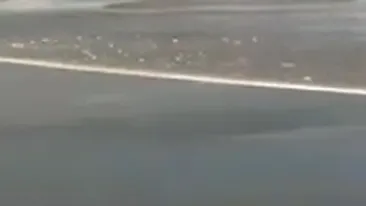 Alerta de tsunami declansata dupa cutremurul de 7,4 grade din nord-estul Japoniei a fost anulata