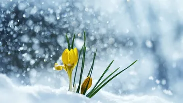 Prognoza meteo 26 februarie 2019. Nu scăpăm de ninsori