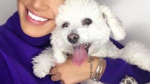 Căţelul Adelinei Pestriţu suferă cumplit după Speak! Imaginile cu Nobby te vor sensibiliza până la lacrimi