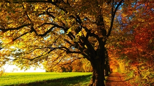 Prognoza meteo până la finalul lunii septembrie. Ce ne așteaptă în primele săptămâni de toamnă