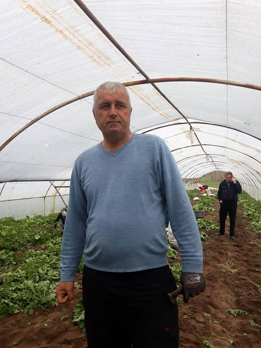 Fermierii din Călărași-Dolj au strâns prima recoltă de cartofi noi
