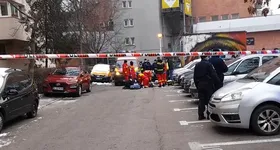 Galerie foto - poza 4