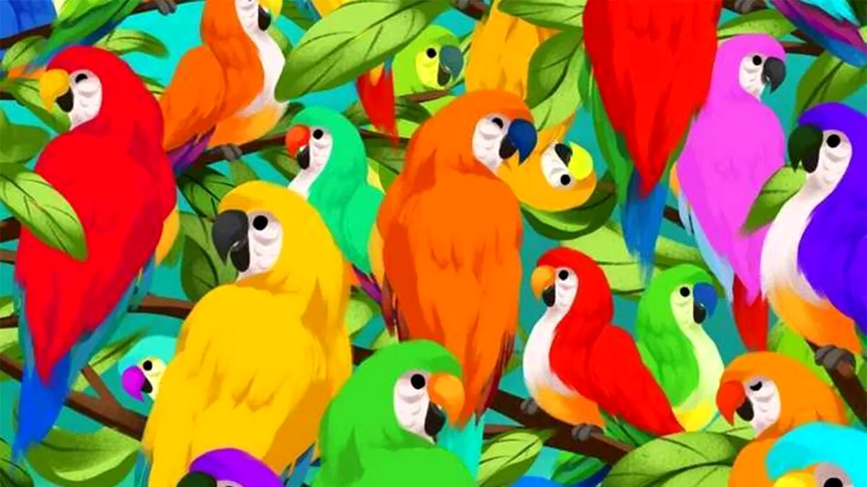 Iluzie optică virală | Unde este cameleonul? Aveți 7 secunde să îl găsiți