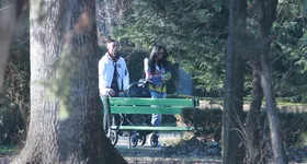 Galerie foto - poza 2