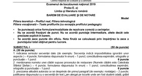 Galerie foto - poza 4