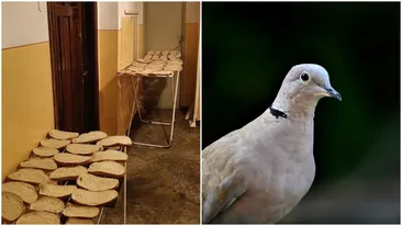 Motivul incredibil pentru care o familie din Ardeal a lăsat 50 de felii de pâine în fața ușii. Vecinilor nu le-a venit să creadă