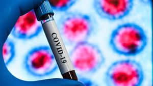 Coronavirus în România 25 iulie. Alarmant! 15 morți și 1.284 de infectări în ultimele 24 de ore