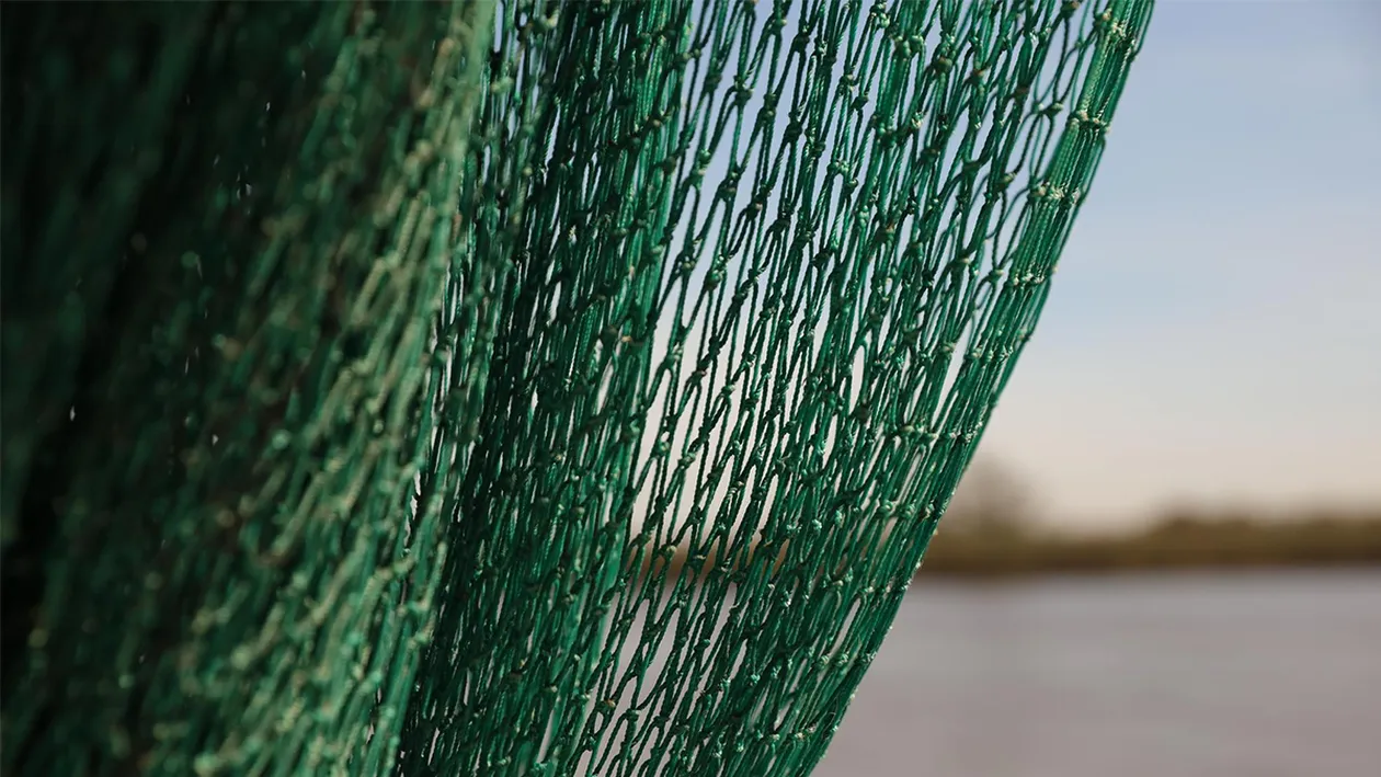 (P) Rolul plasei de umbrire în grădinărit: Protecție, eficiență și economisire