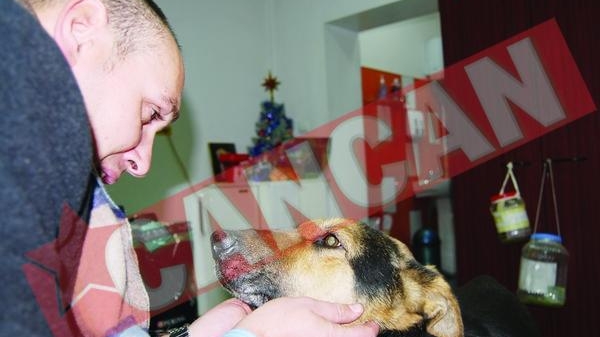 Cainele torturat de taximetrist, adoptat de un ziarist