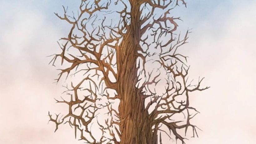 Iluzie optică virală | Ești un geniu dacă poți găsi toți cei 3 iepuri ascunși în această poză