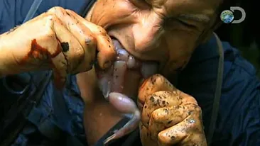 A supravietuit in cele mai dure conditii, dar se teme de ASTA! N-o să-ţi vină să crezi care e cea mai mare fobie a lui Bear Grylls