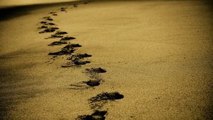 Când se va deschide sezonul turistic pe Litoral. Anunțul optimist al ministrului Economiei: „Toți ne dorim ca în august...”
