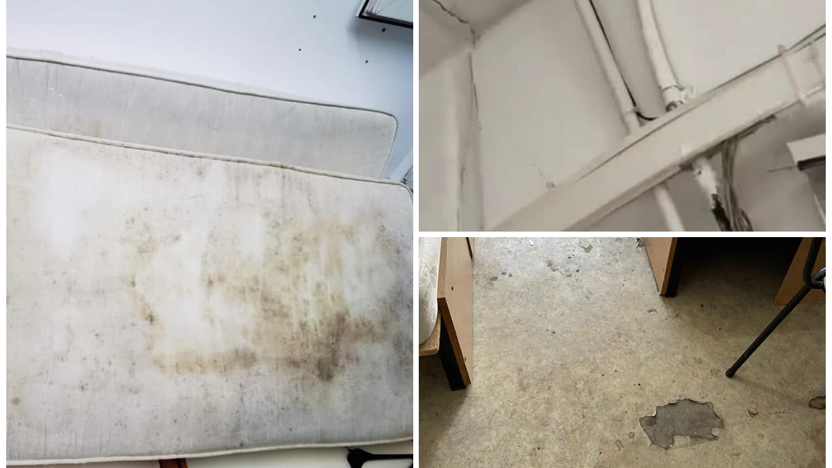 Imagini de coșmar surprinse în mai multe cămine studențești din București. Camere pline de gândaci și mizerie, cu pereți și saltele mucegăite