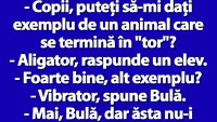 BANCUL ZILEI | Profesoara: Bulă, dă-mi exemplu de un animal care se termină în TOR!