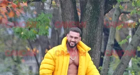 Galerie foto - poza 2